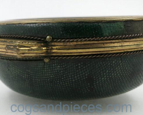 Shagreen outer case